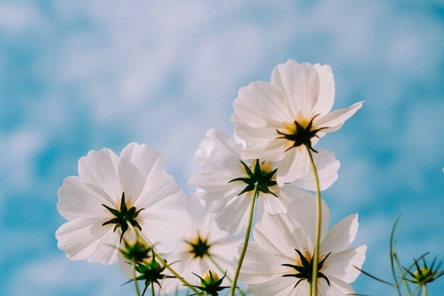 BAHARA HAZIRLIK: ARINMA VE YENİLENME REHBERİ