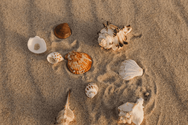 GÜNEŞ KREMİ NEDEN VAZGEÇİLMEZ?