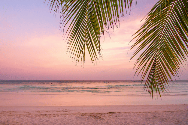 GÜNEŞ SONRASI CİLT BAKIMI NASIL OLMALI?