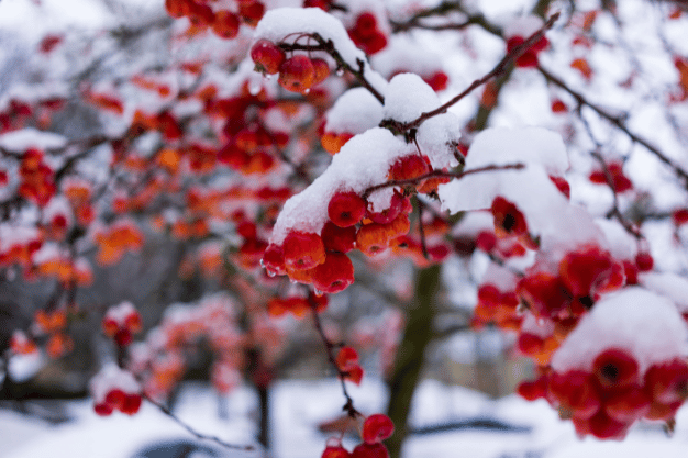 NIACINAMIDE İLE CİLT AYDINLATMA