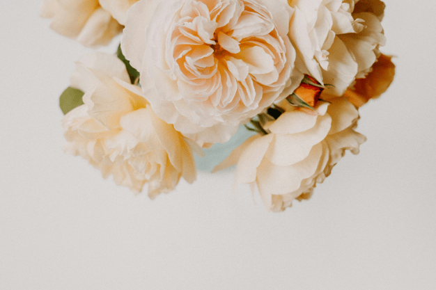 CİLT LEKELERİNE ELVEDA